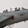 F-15 (087)