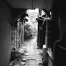 路地