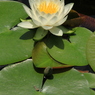 平安神宮　⑤