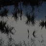 2009.11.15矢作の夕景