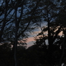 2009.11.15矢作の夕景