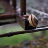 IMG_4474