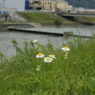 DSC00008