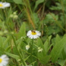 DSC00018