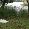 DSC00067