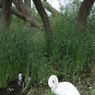 DSC00069