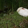 DSC00076