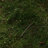 DSC00124