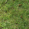 DSC00129