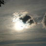 DSC00231