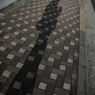 多摩川(2010-2-22)-7