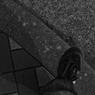 多摩川(2010-2-22)-9