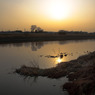 多摩川(2010-2-22)-21