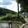田植え　暗峠