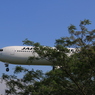 JAL BOEING 767-300 in KMJ 4