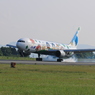 ANA BOEING 767-300 in KMJ 1