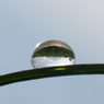 DSC00551_1