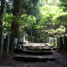 登山道