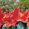 犬山踊芸祭⑲皇學館大學 雅さん2