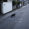 独り　その7