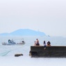 日間賀島