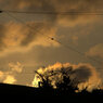 Twilight
