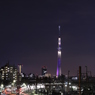 The view from styation　雅