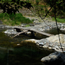 秘密の橋