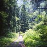 ある登山道にて