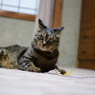 目ヂカラ
