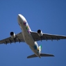 EVA A330-223 離陸　