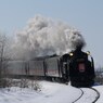 IMGP4581