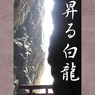 天に昇る白龍