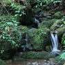 清流 “菊池渓谷” 12