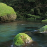 清流 “菊池渓谷” 15