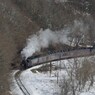 IMGP4248