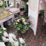 国バラ写真集「紫陽花」