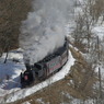 IMGP4258