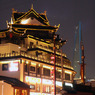 春節の豫園の夜2010