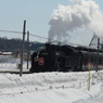 IMGP4691