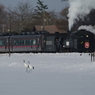 IMGP4721