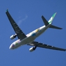 EVA A330-223 出発　