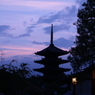 紫苑の塔　再び