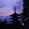 紫苑の塔　３ｒｄ