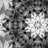 Flower of Medal４
