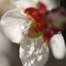 P1060130