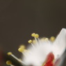 P1060140