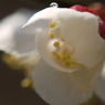 P1060201