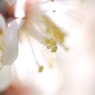 P1060186