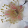 P1060238